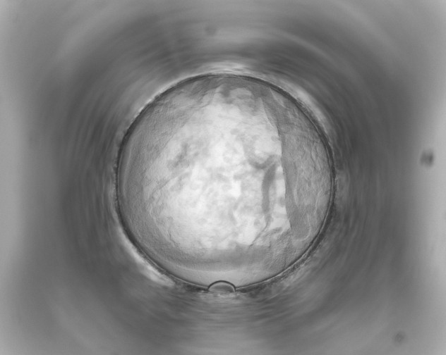 X0000093611432200711051210