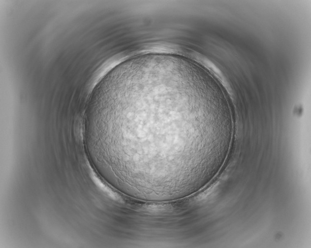 X0000093611433200711051210