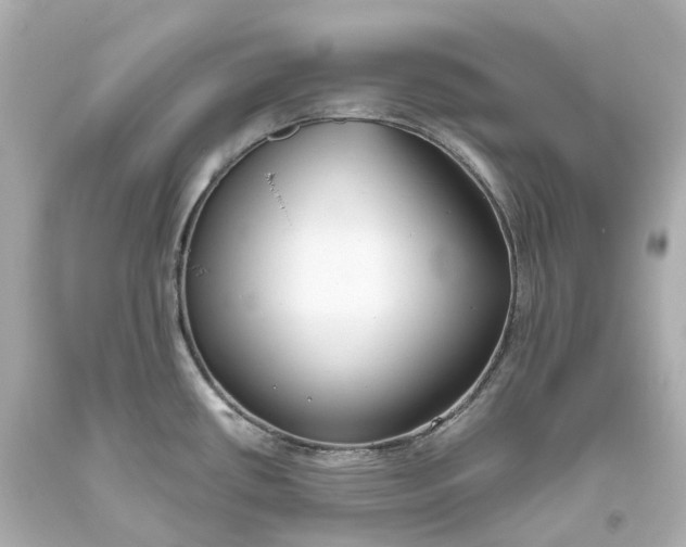 X0000093611434200711051210