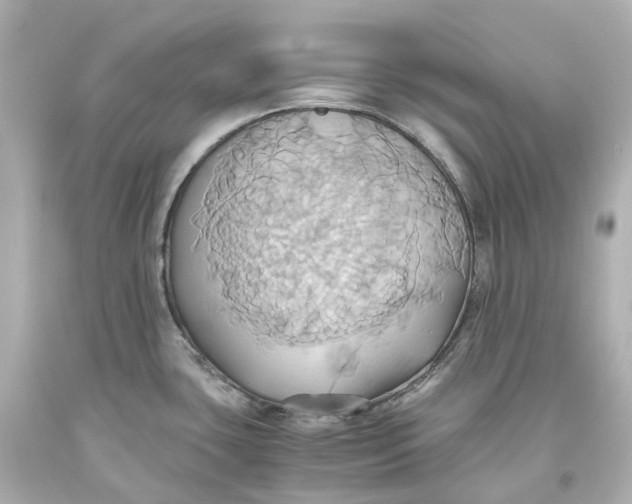 X0000093611435200711051210