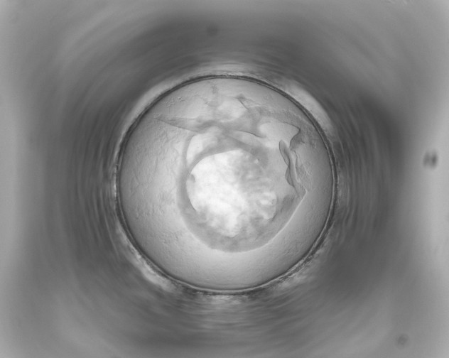 X0000093611436200711051210
