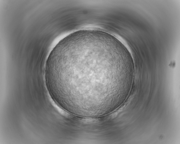 X0000093611437200711051210