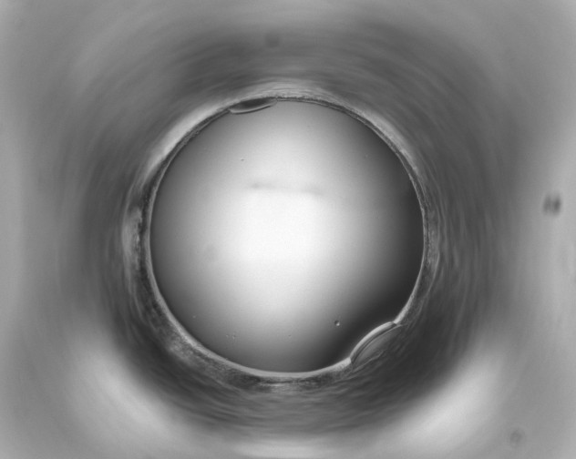 X0000093611438200711051210