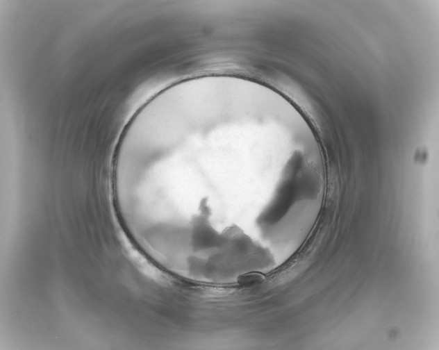 X0000093611439200711051210
