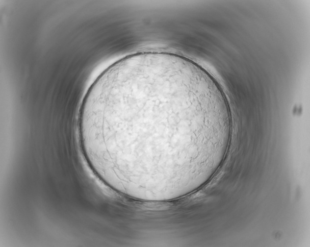 X0000093611440200711051210