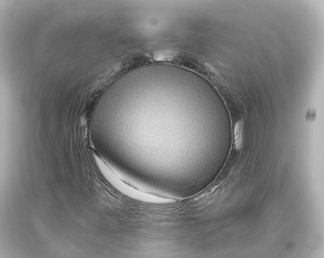 X0000093611443200711051209