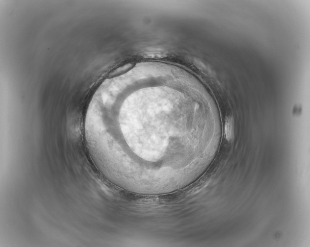 X0000093611444200711051209