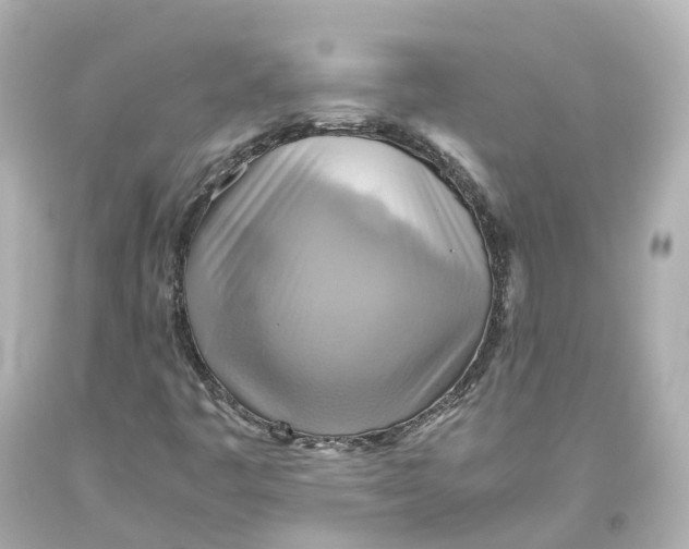 X0000093611445200711051209