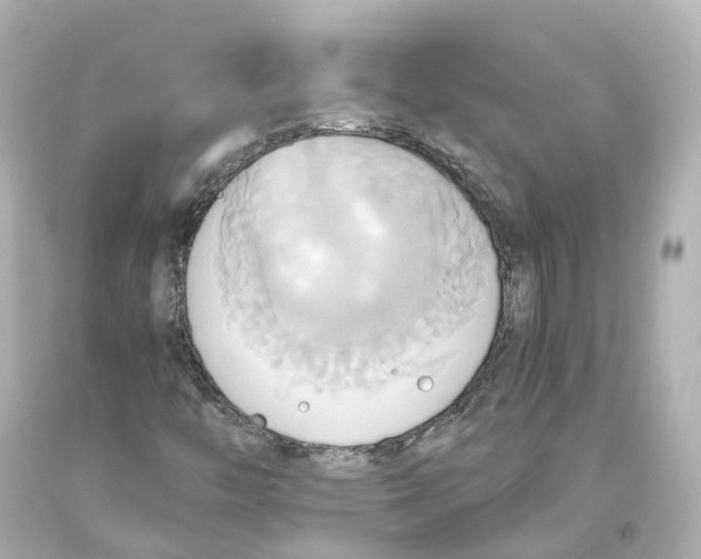 X0000093611446200711051209