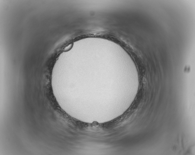 X0000093611447200711051209