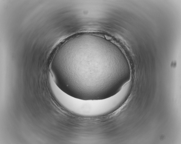 X0000093611449200711051209