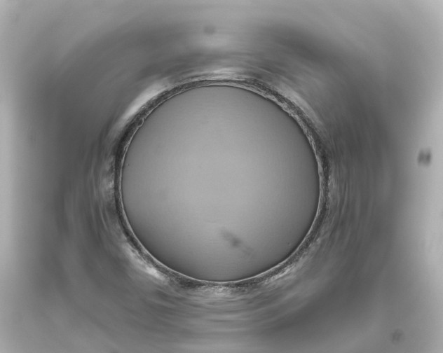 X0000093611450200711051209