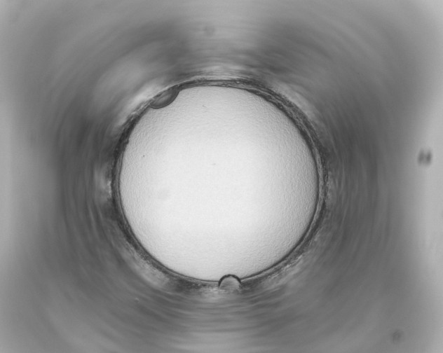 X0000093611451200711051209