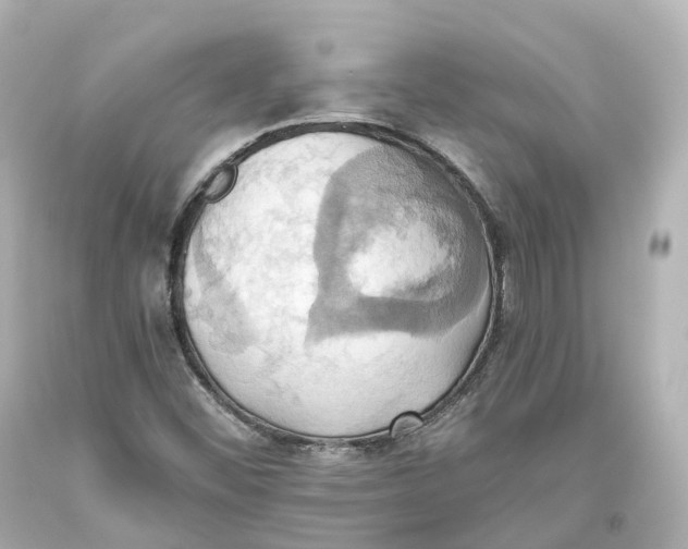 X0000093611452200711051209