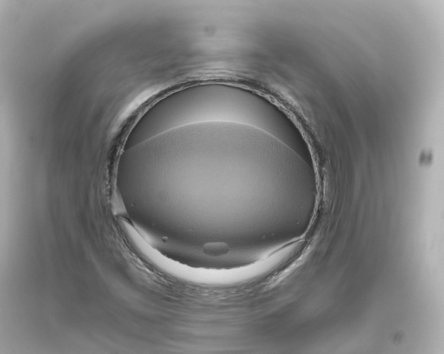 X0000093611453200711051209