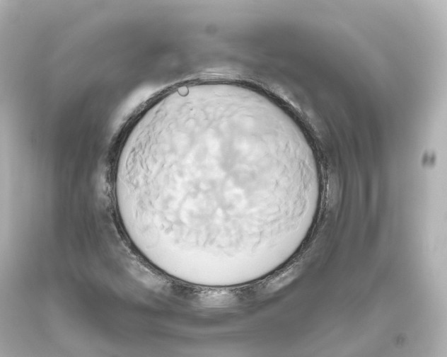X0000093611454200711051209