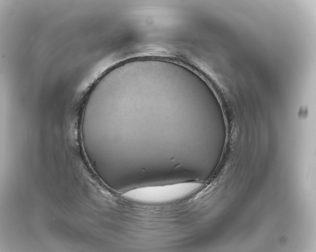 X0000093611455200711051209