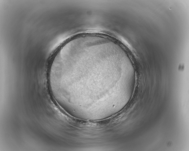 X0000093611456200711051209