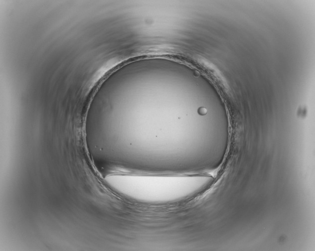 X0000093611457200711051209