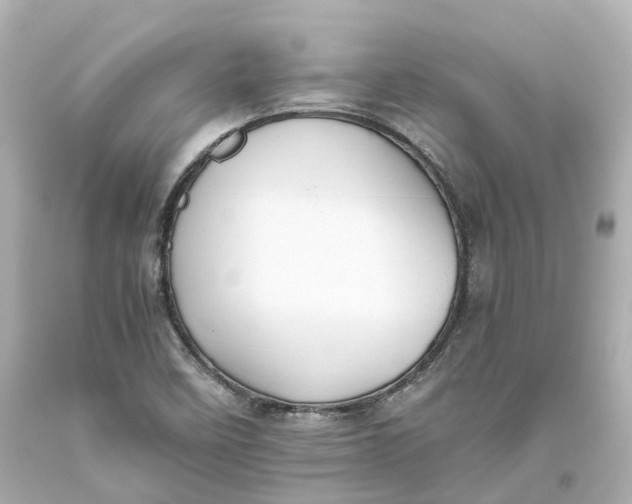 X0000093611458200711051209