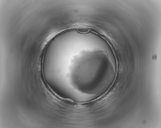 X0000093611459200711051209