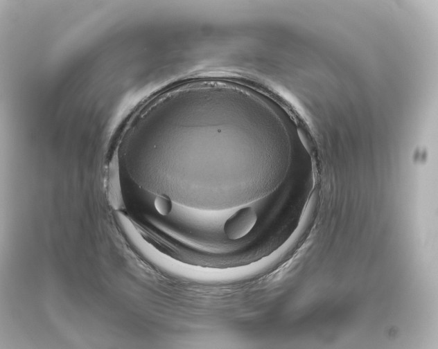 X0000093611461200711051209