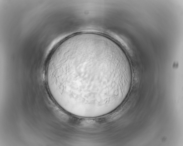 X0000093611462200711051209