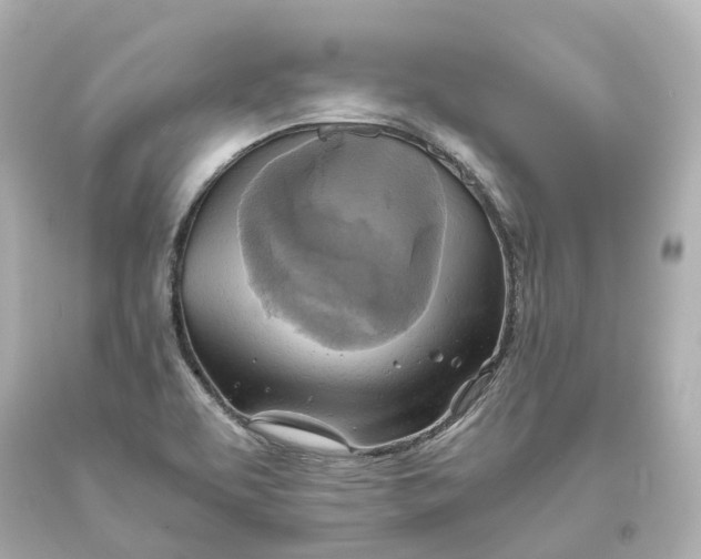 X0000093611463200711051209