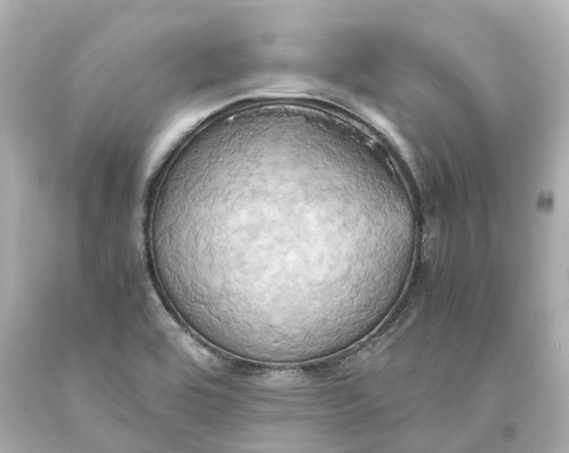X0000093611464200711051209