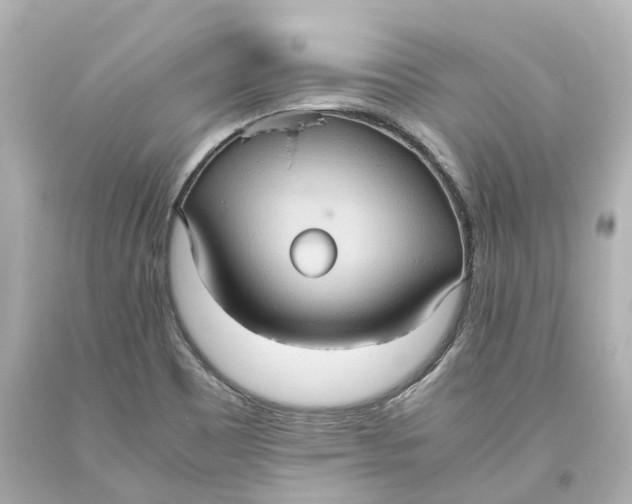 X0000093611465200711051209