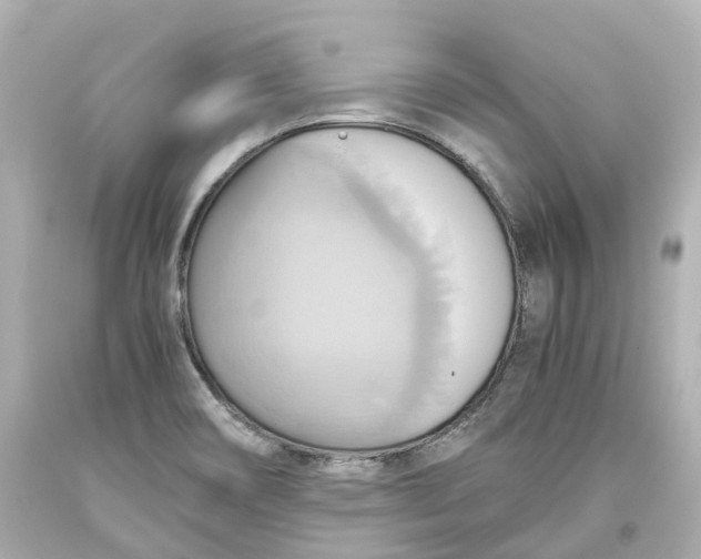 X0000093611466200711051209