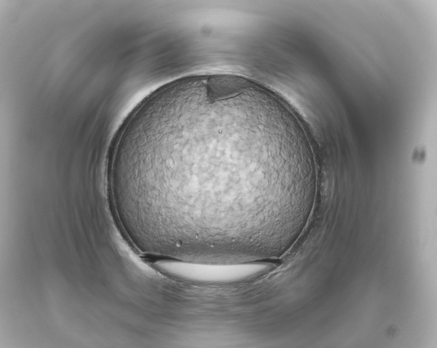 X0000093611468200711051209