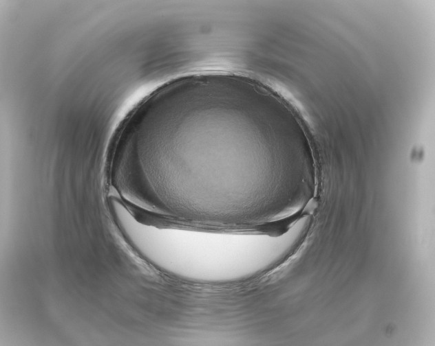 X0000093611469200711051209