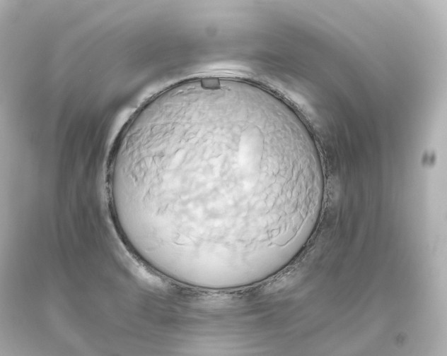X0000093611470200711051209