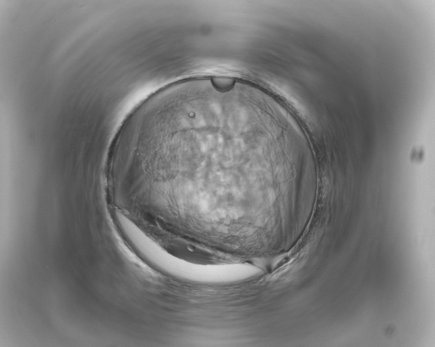 X0000093611471200711051209