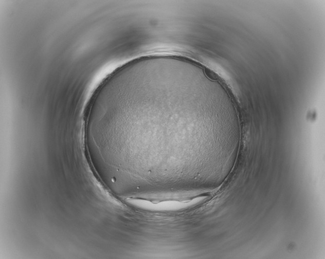 X0000093611472200711051209
