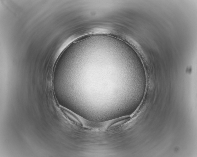 X0000093611473200711051209