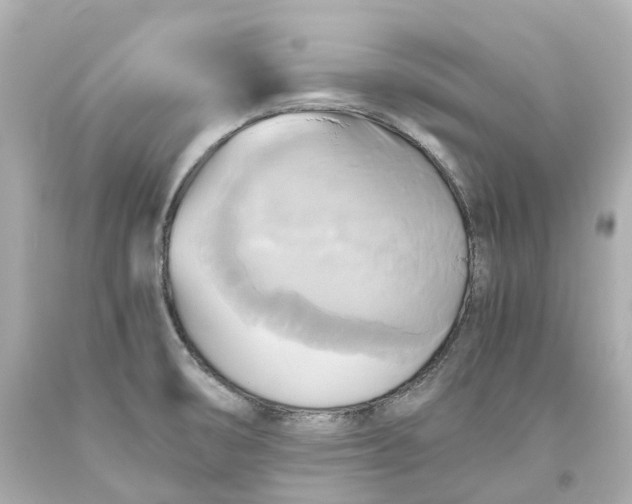 X0000093611474200711051209