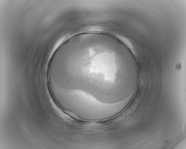 X0000093611475200711051209