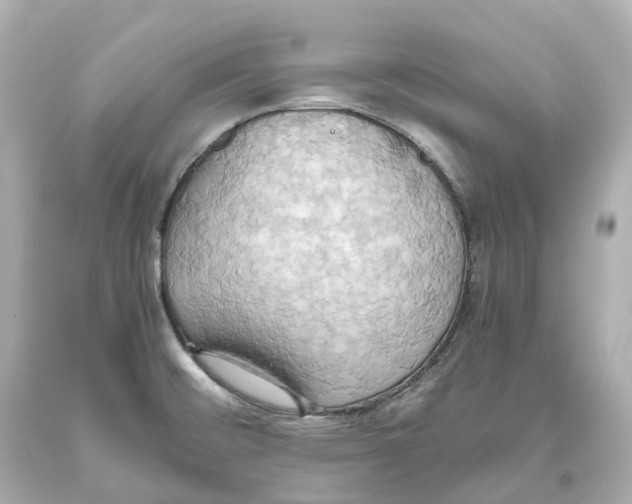 X0000093611476200711051209