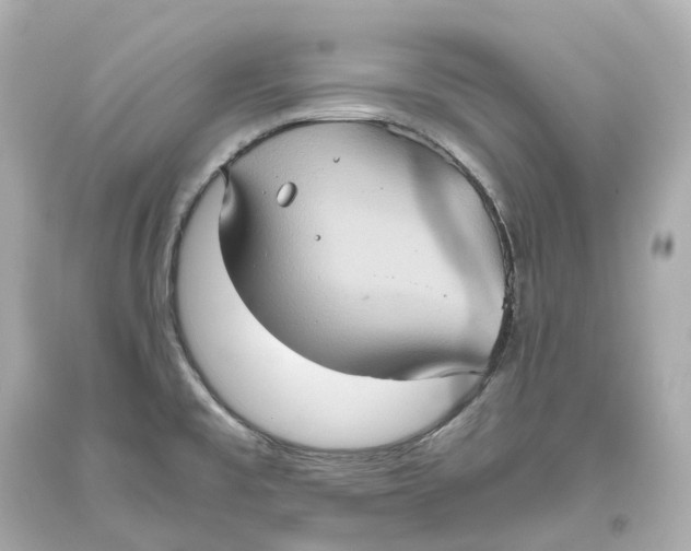 X0000093611477200711051209