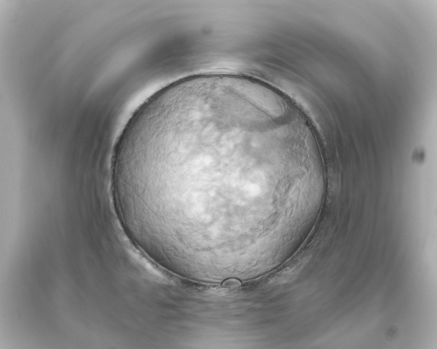 X0000093611480200711051209
