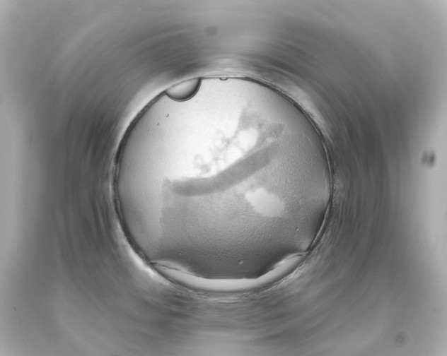 X0000093611484200711051209