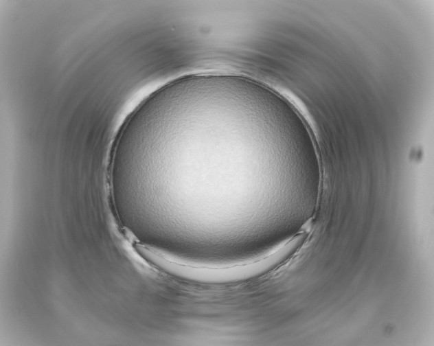 X0000093611485200711051209
