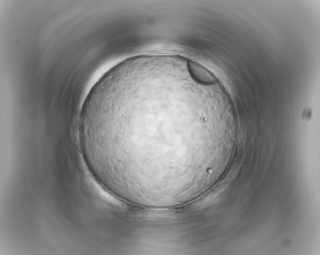 X0000093611486200711051209
