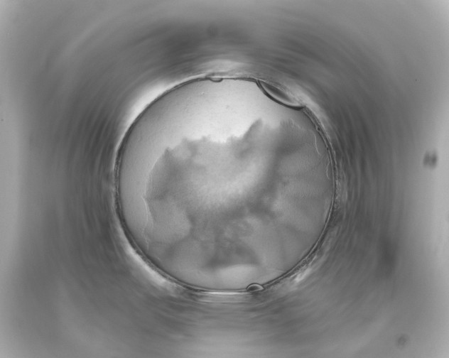 X0000093611487200711051209