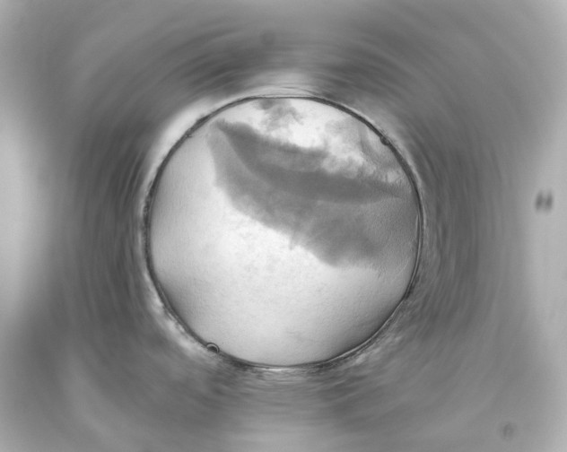 X0000093611488200711051209