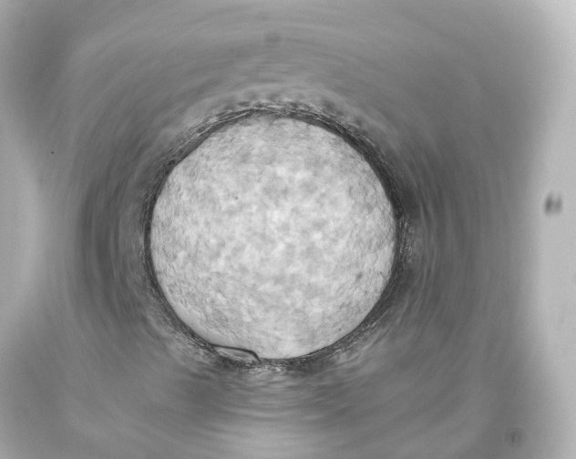 X0000093611489200711051208