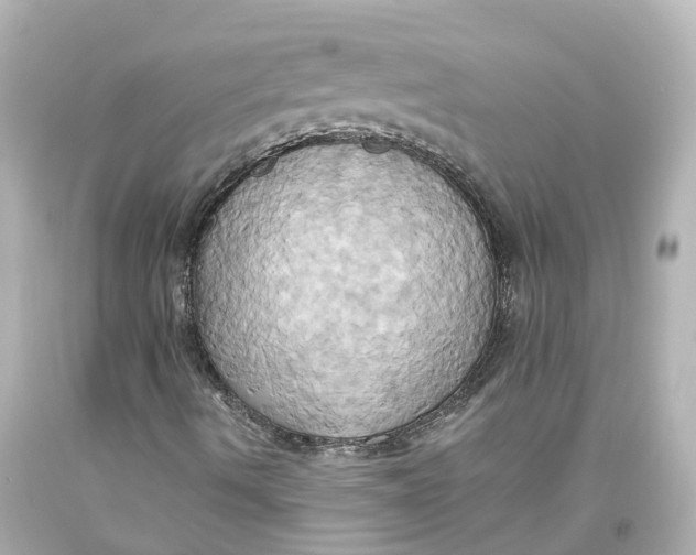 X0000093611490200711051208