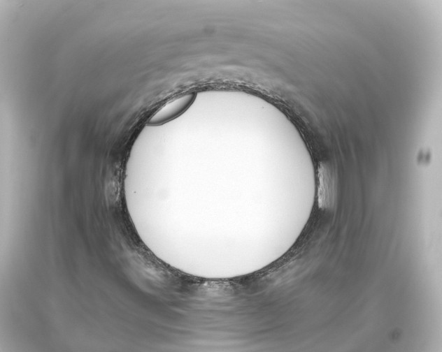X0000093611491200711051208